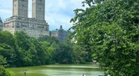 A couple getting engaged in Central Park, with the San Remo building in the background.