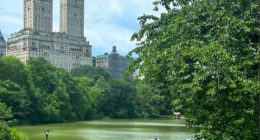 A couple getting engaged in Central Park, with the San Remo building in the background.