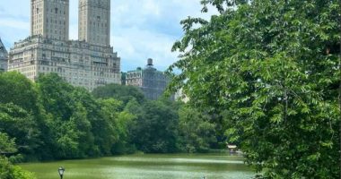 A couple getting engaged in Central Park, with the San Remo building in the background.