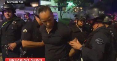 CNN reporter detained during LA unrest.