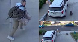 'Freaked out' Staten Islander chased by furious turkey in wild driveway showdown caught on camera