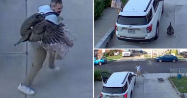 'Freaked out' Staten Islander chased by furious turkey in wild driveway showdown caught on camera