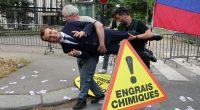 French President Emmanuel Macron wax statue is stolen by Greenpeace activists