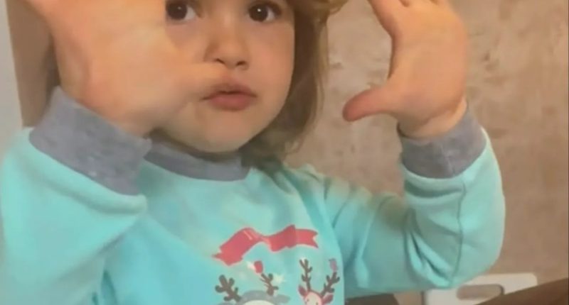 Photo of Alyna Petryv, a three-year-old girl.