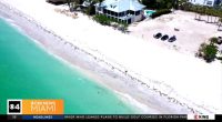 Aerial view of a beach where a shark attack occurred.