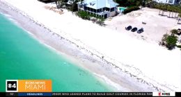 Aerial view of a beach where a shark attack occurred.