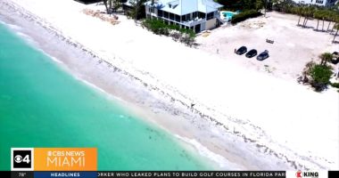 Aerial view of a beach where a shark attack occurred.