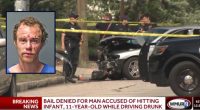 Girl dies on 1st birthday after alleged drunk driver hit her
