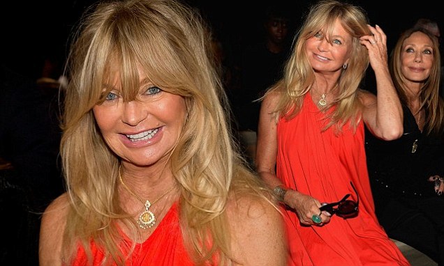 Goldie Hawn, 67, brightens up the front row of the Donna Karan show
