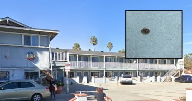 Guests win $2 million from hotel after bed bug infestation