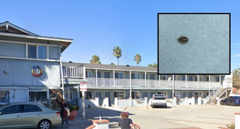 Guests win $2 million from hotel after bed bug infestation