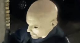 Gunman on loose after killer in TERRIFYING Halloween mask