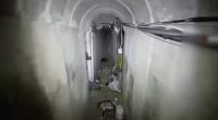 Hamas chief 'The Shadow' WAS killed in airstrike on Gaza hospital