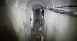 Hamas chief 'The Shadow' WAS killed in airstrike on Gaza hospital