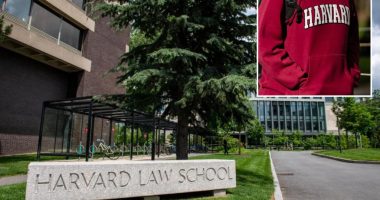 Harvard Law Review retaliated against student linked to federal probe