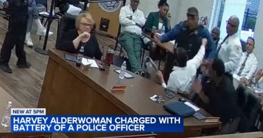 Harvey Alderwoman Colby Chapman arrested, charged with aggravated battery of police officer, officials say