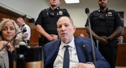 Harvey Weinstein at his rape and sexual assault retrial.