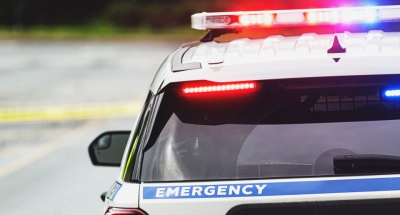 Rear view of a police car at an emergency scene.