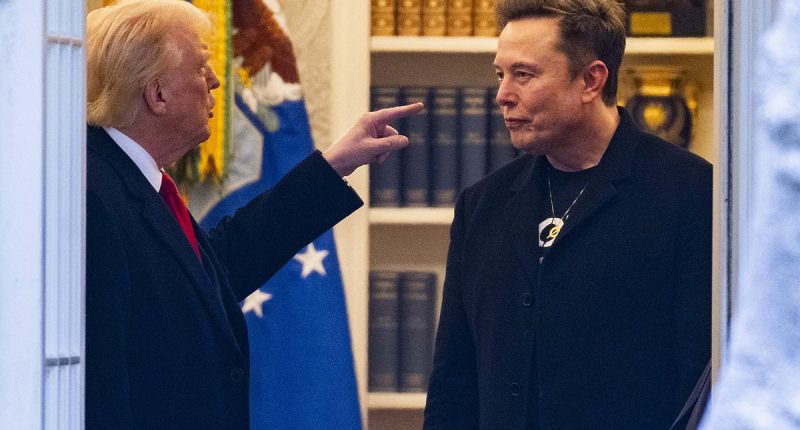 How much money Elon Musk lost because of feud with Donald Trump