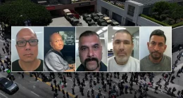 ICE arrests 'worst of the worst' illegal aliens in Los Angeles while protesters advocate for criminals: DHS