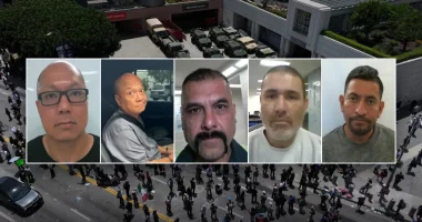 ICE arrests 'worst of the worst' illegal aliens in Los Angeles while protesters advocate for criminals: DHS