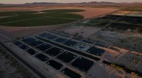 In the Arizona desert, a farm raising fish raises questions about water use