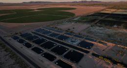 In the Arizona desert, a farm raising fish raises questions about water use
