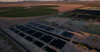 In the Arizona desert, a farm raising fish raises questions about water use