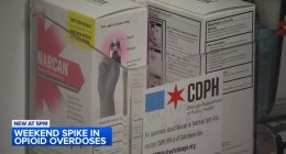 Increase in opioid drug overdose incidents during hot Chicago weather triggers city's spike alert system