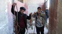 Two men holding bloody ropes in a damaged building.