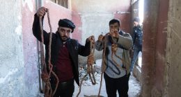 Two men holding bloody ropes in a damaged building.