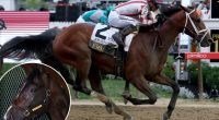 Journalism jockey Umberto Rispoli readies for Triple Crown rematch with Sovereignty