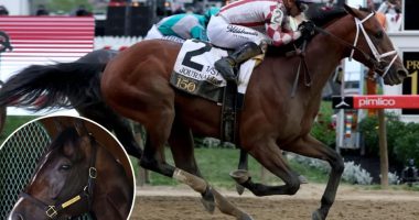 Journalism jockey Umberto Rispoli readies for Triple Crown rematch with Sovereignty