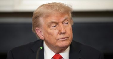 Judge declares Trump's use of Alien Enemies Act 'unlawful'