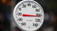 Keep your pet safe from the heat: Illinois Fire Marshal offers tips