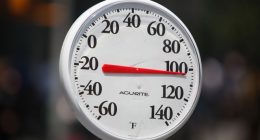 Keep your pet safe from the heat: Illinois Fire Marshal offers tips