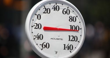 Keep your pet safe from the heat: Illinois Fire Marshal offers tips