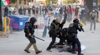 LA anti-ICE rioters will be met with force as ‘idiot’ Gov Newsom fuels fire: police union boss