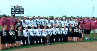 Leroy softball finishes runner-up at state