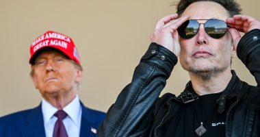 Let’s all do a dramatic reading of Trump and Musk’s mean posts