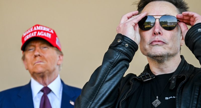 Let’s all do a dramatic reading of Trump and Musk’s mean posts
