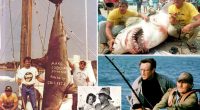 Long Island's 'monster' shark hunter legend may have inspired 'Jaws,' iconic Capt. Quint