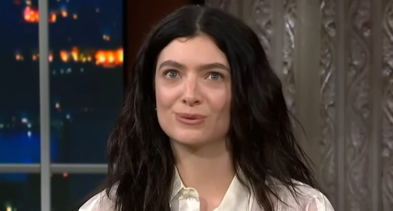 Lorde reveals shock exchange with NYPD antiterrorism unit
