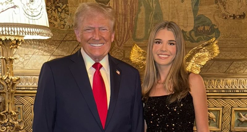 Madman storms Trump's Mar-a-Lago resort looking for granddaughter Kai