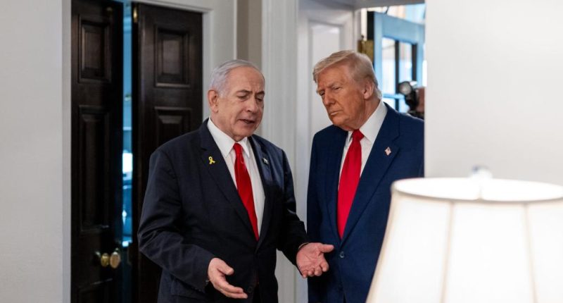 Majority of Dems backing off support for Israel are coping with Trump Derangement Syndrome