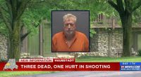 Man murders 3, including bedridden mother-in-law: Cops
