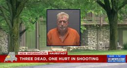 Man murders 3, including bedridden mother-in-law: Cops