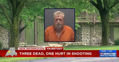 Man murders 3, including bedridden mother-in-law: Cops