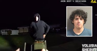 Man was going to watch ex sleep from her window: Cops