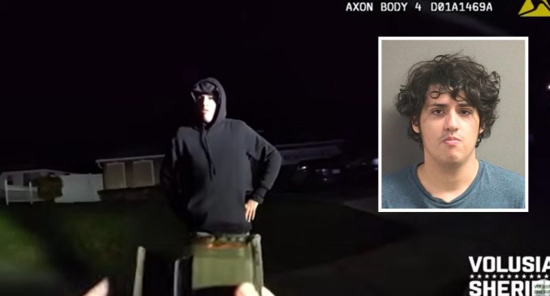 Man was going to watch ex sleep from her window: Cops